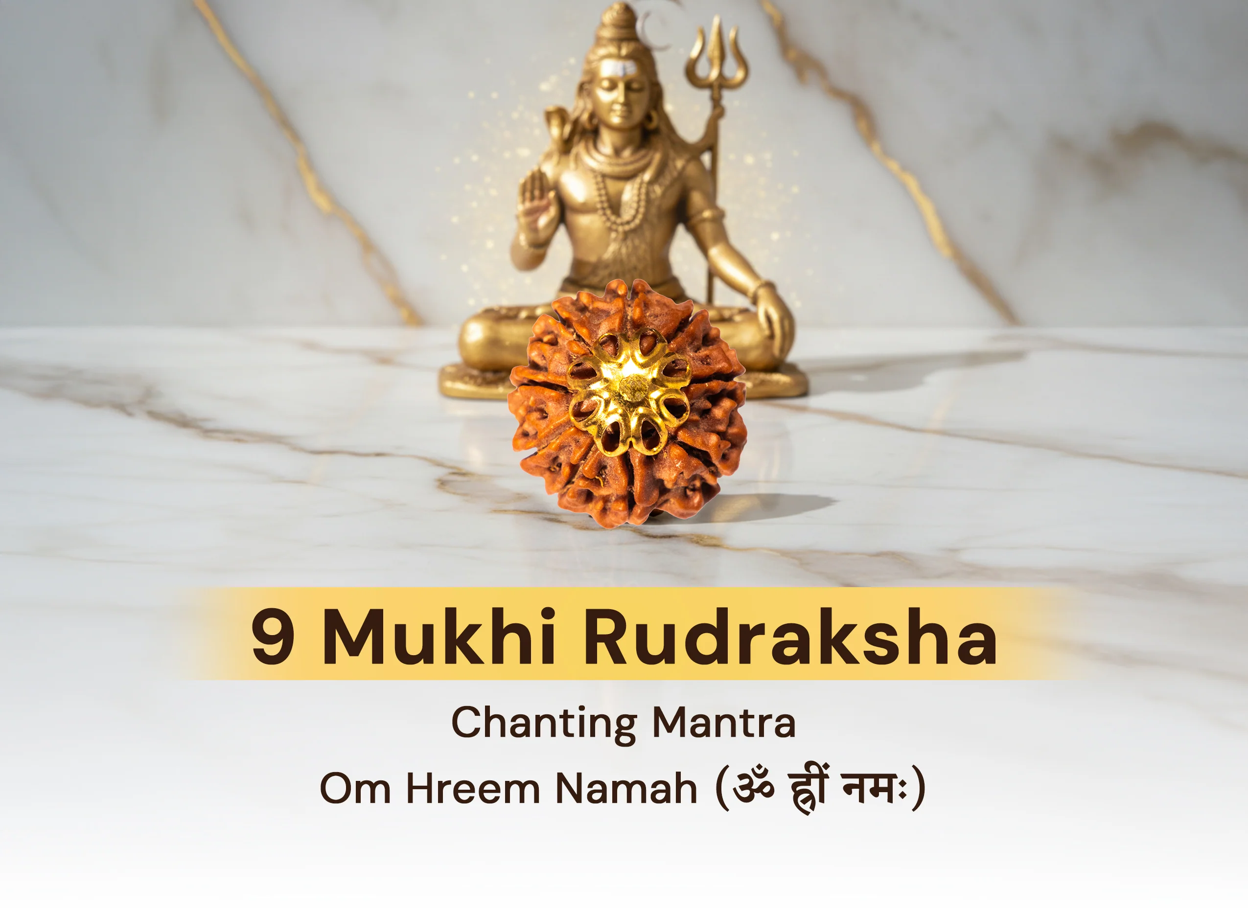 9 Mukhi Rudraksha (Nepali) - Image 4