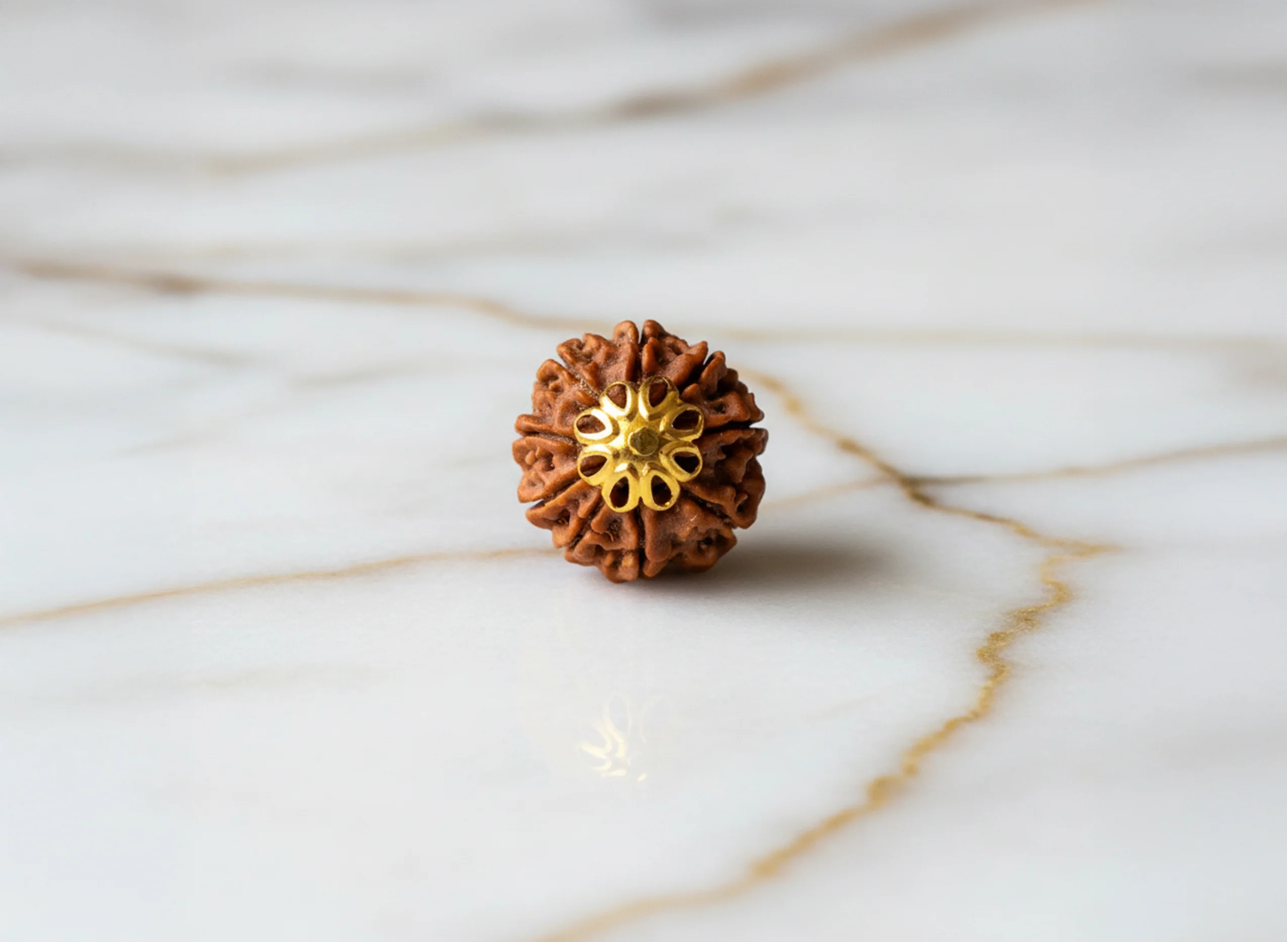 9 Mukhi Rudraksha (Nepali) - Image 5
