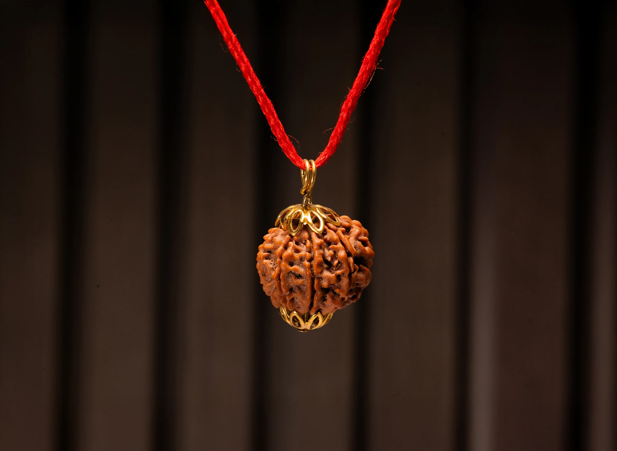 9 Mukhi Rudraksha (Nepali) - Image 8