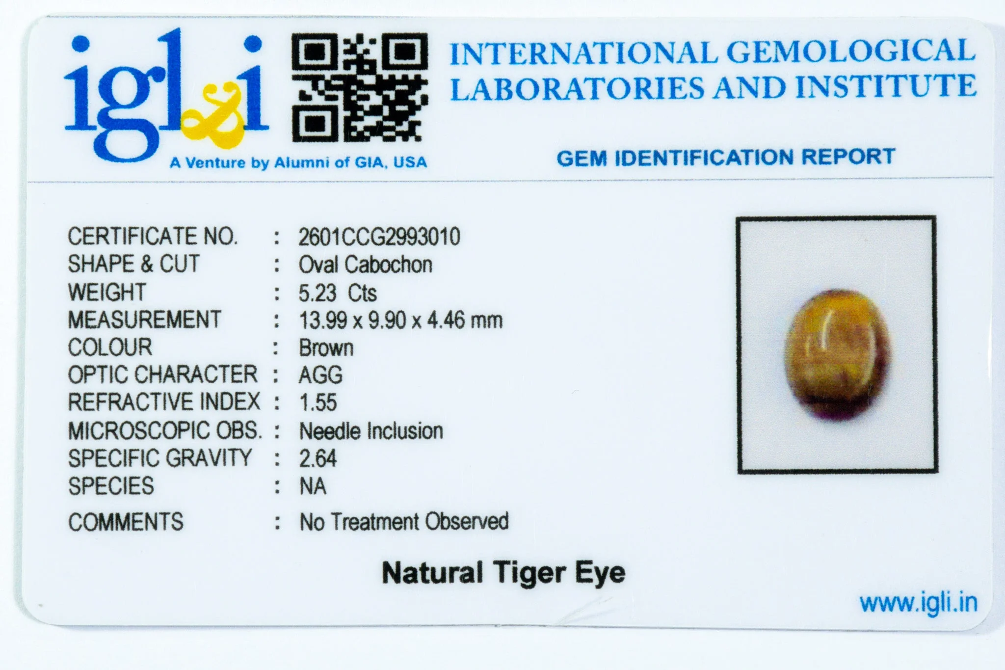 Tiger Eye - 5.23 Carat - Image 3