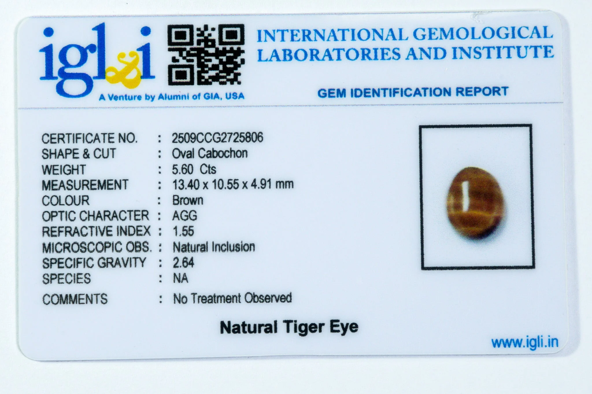 Tiger Eye - 5.60 Carat - Image 3