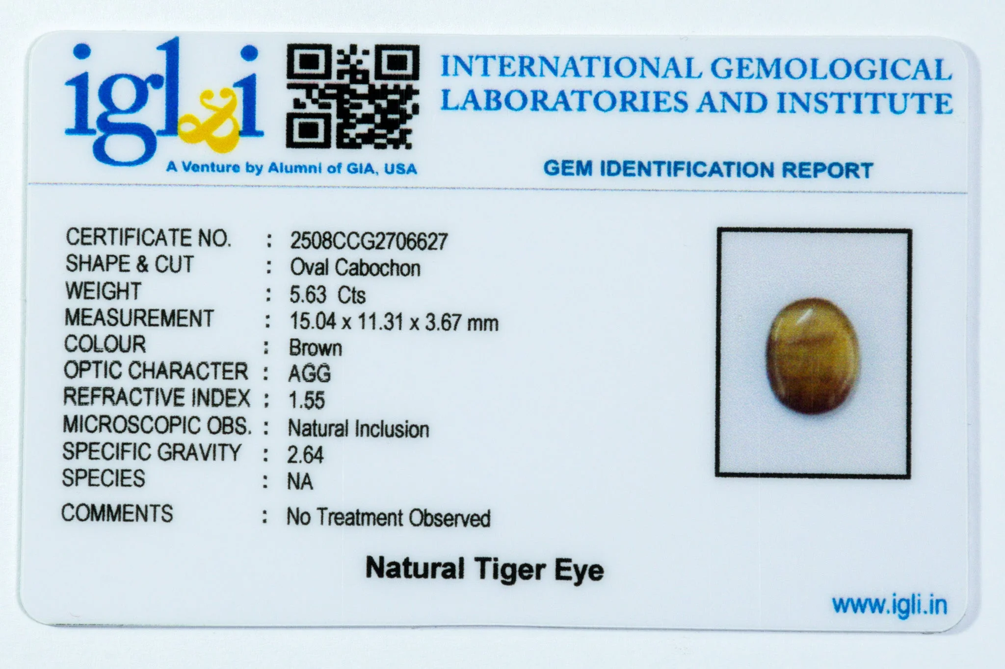 Tiger Eye - 5.63 Carat - Image 3