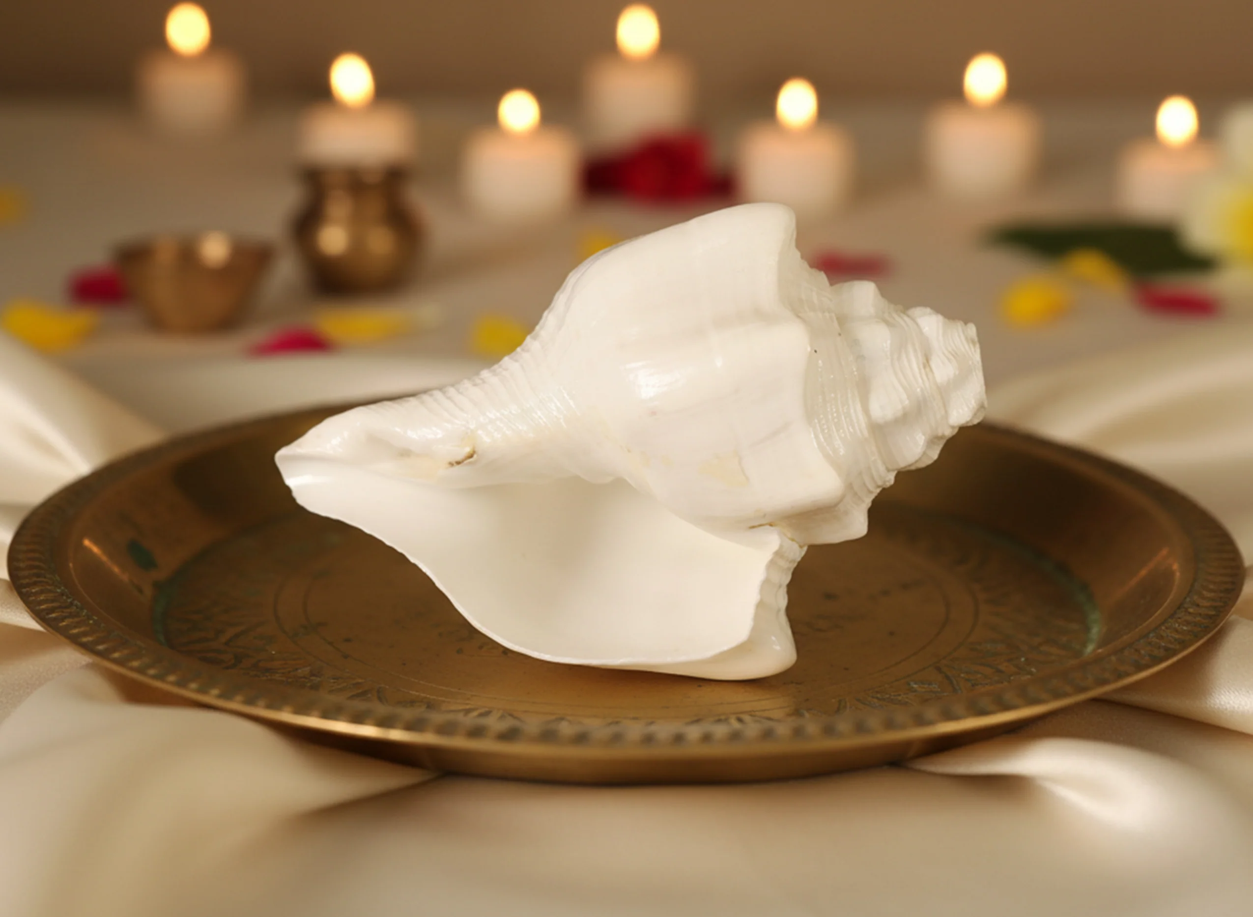 American Shankh - Image 7