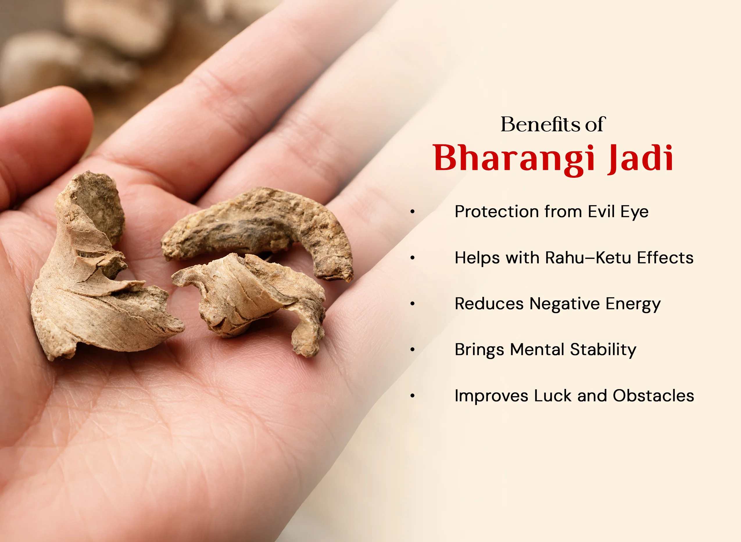 Bharangi Root - Bharangi Ki Jad - Image 2