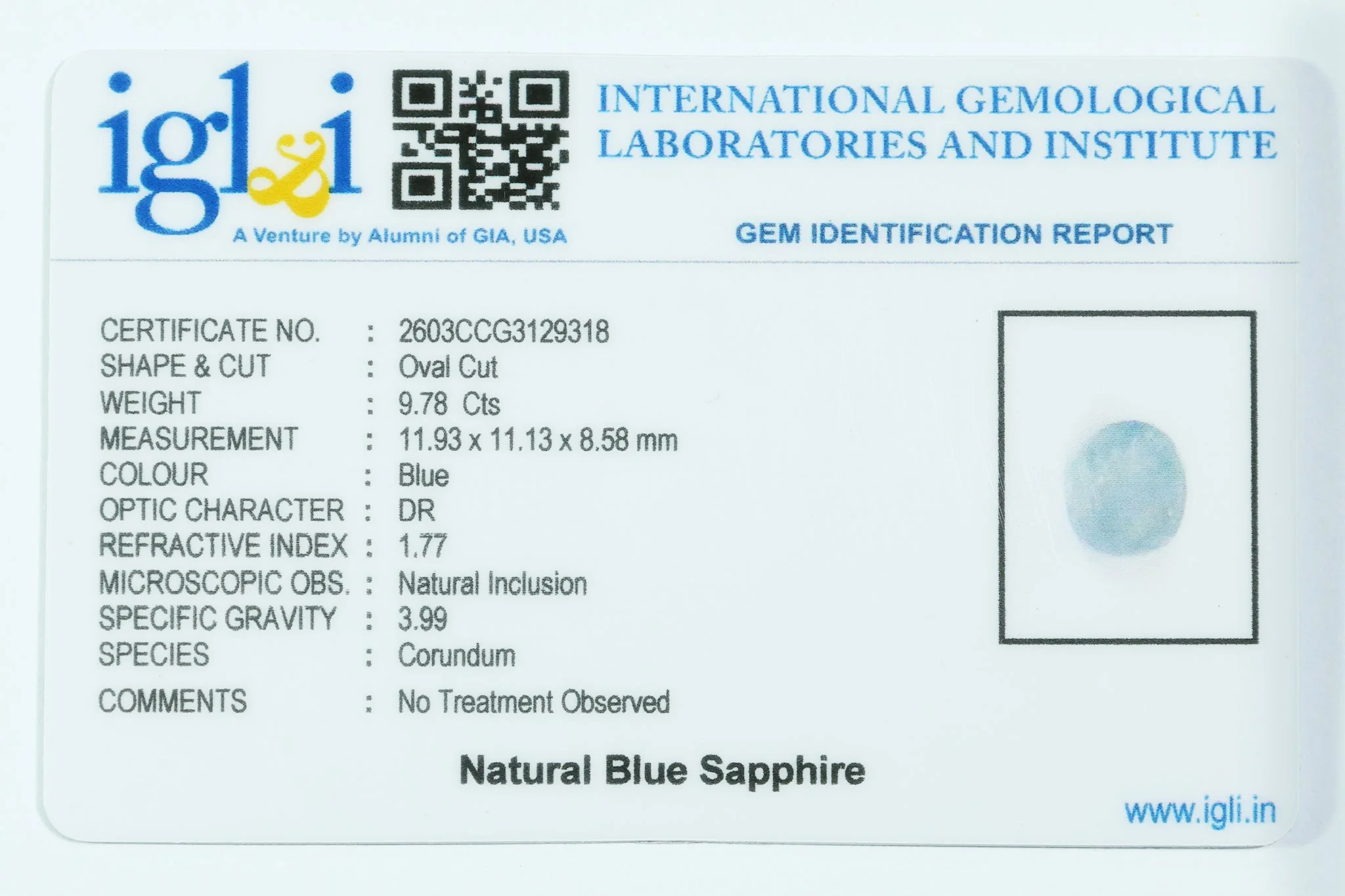 Blue Sapphire - 9.78 Carat - Image 3
