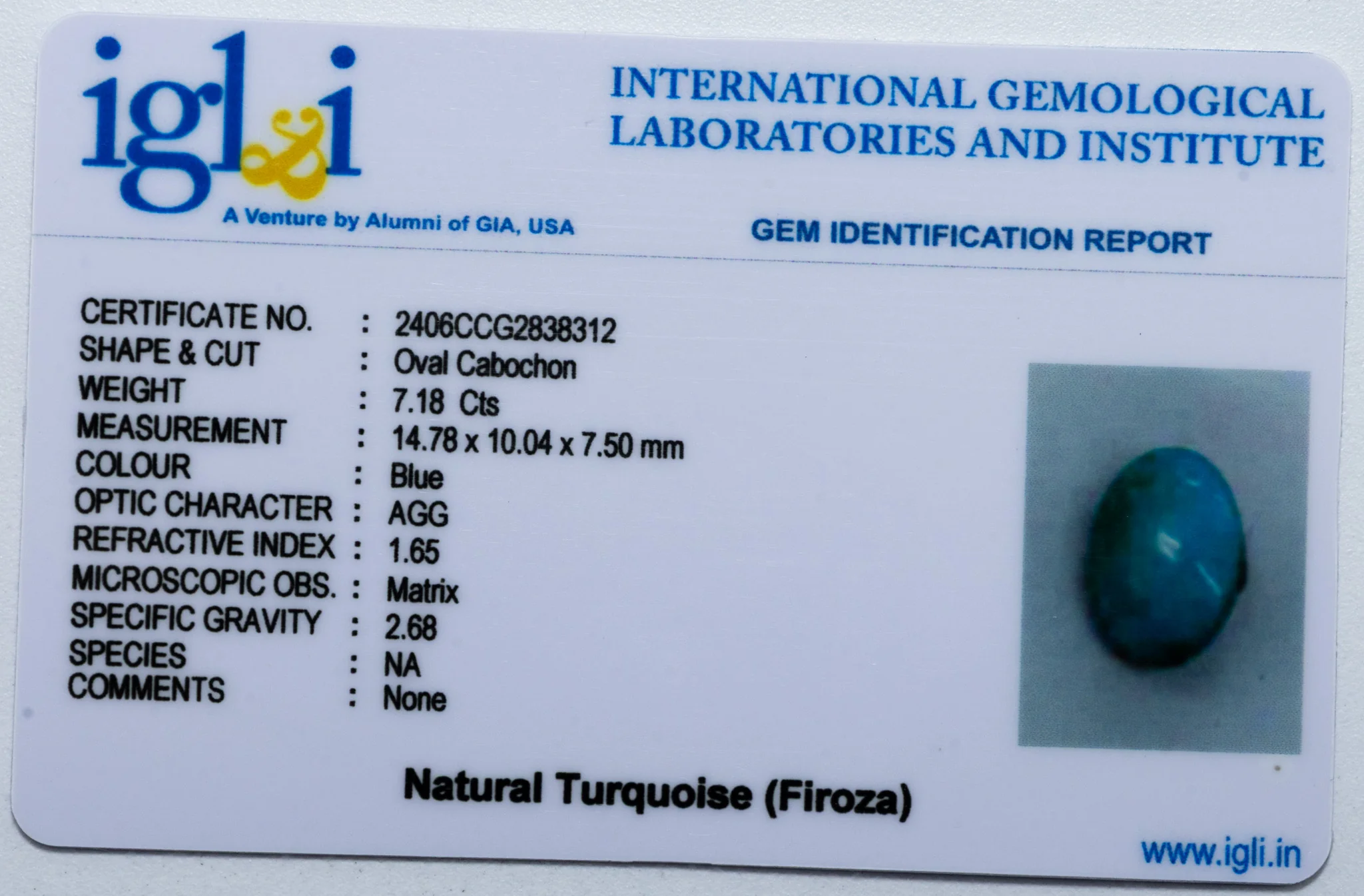 Turquoise (Firoza) - 7.18 Carat - Image 3