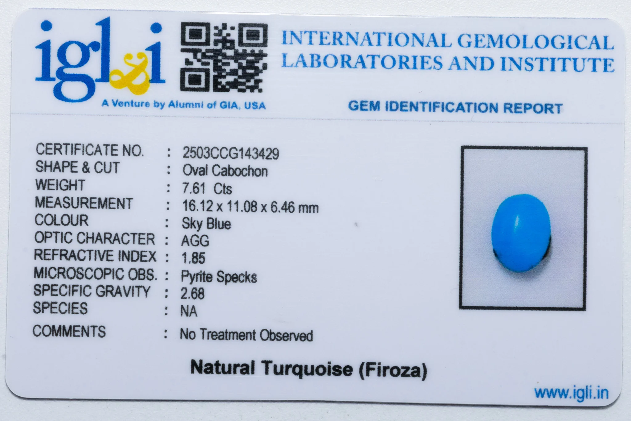 Turquoise (Firoza) - 7.61 Carat - Image 3
