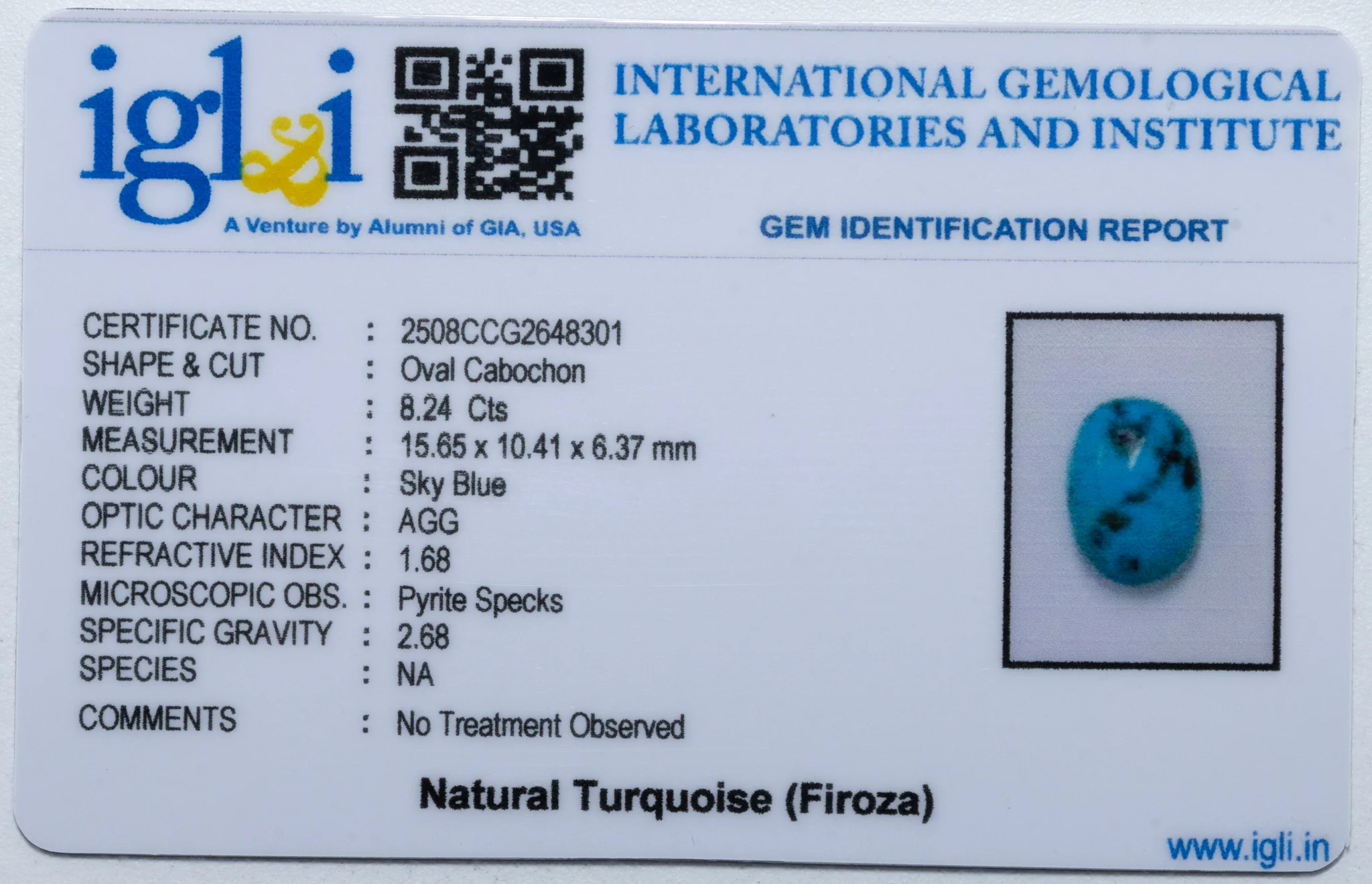Turquoise (Firoza) - 8.24 Carat - Image 3