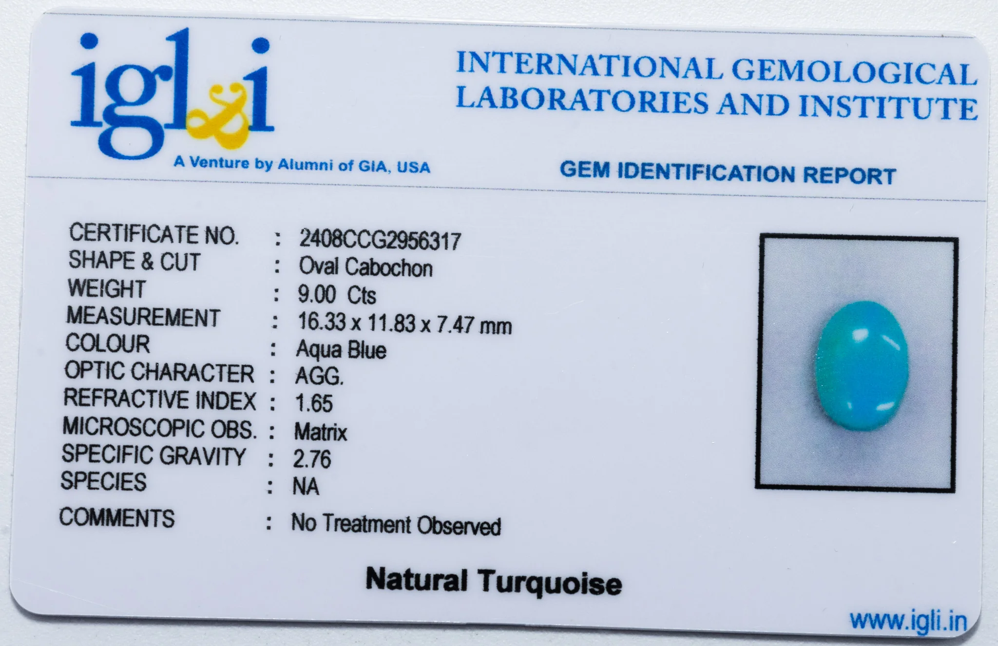 Turquoise (Firoza) - 9.00 Carat - Image 3