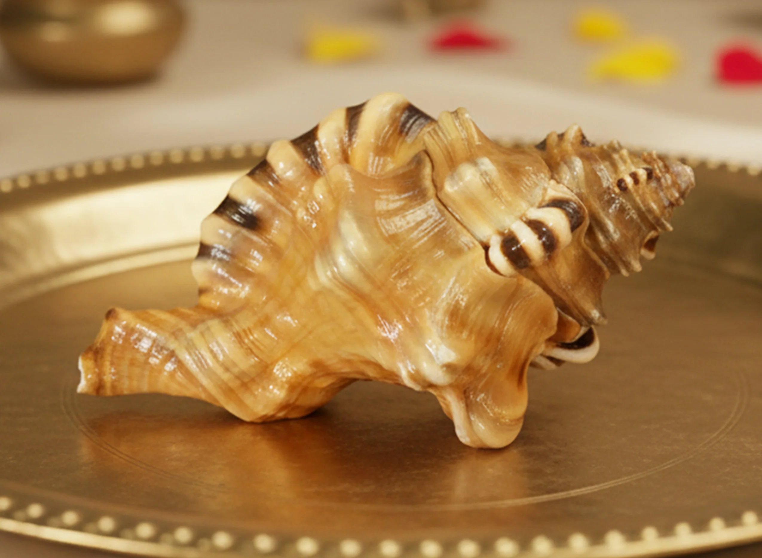 Ganesh Mukhi Sankh