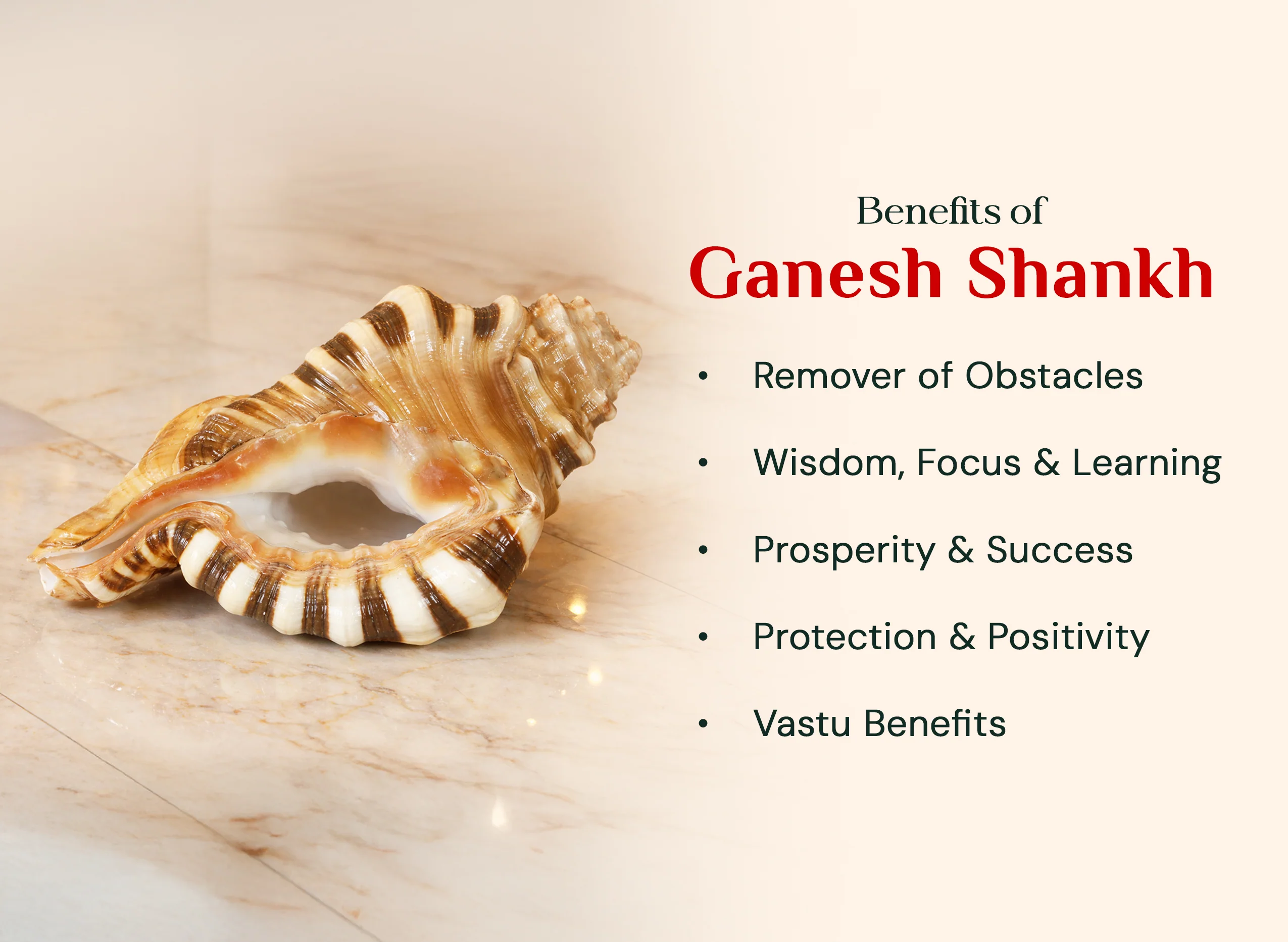 Ganesh Mukhi Sankh - Image 2