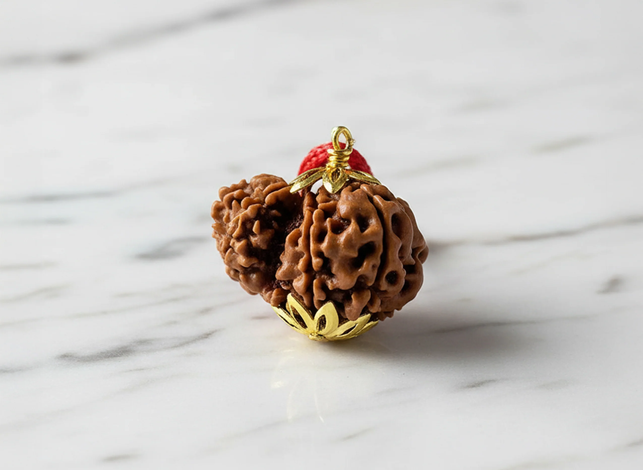Garbh-Gauri Original Nepali Rudraksha - Image 3