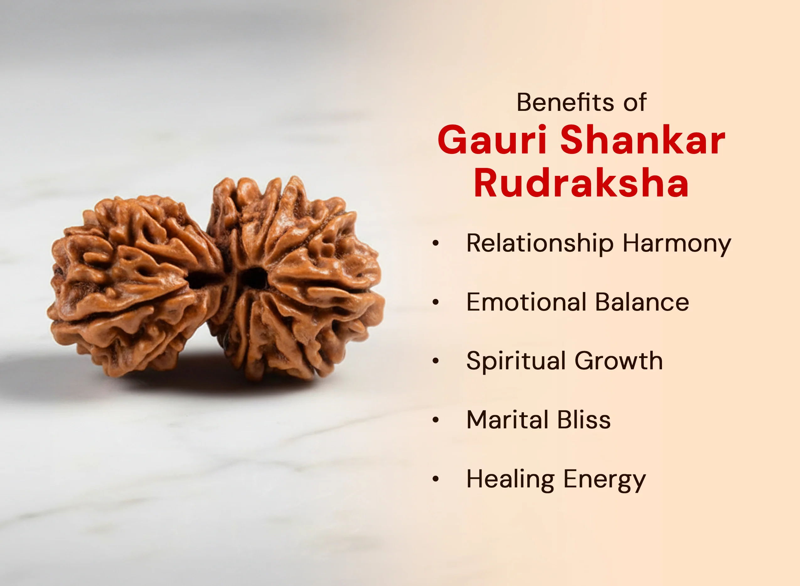 Gauri Shankar Rudraksha - Image 2