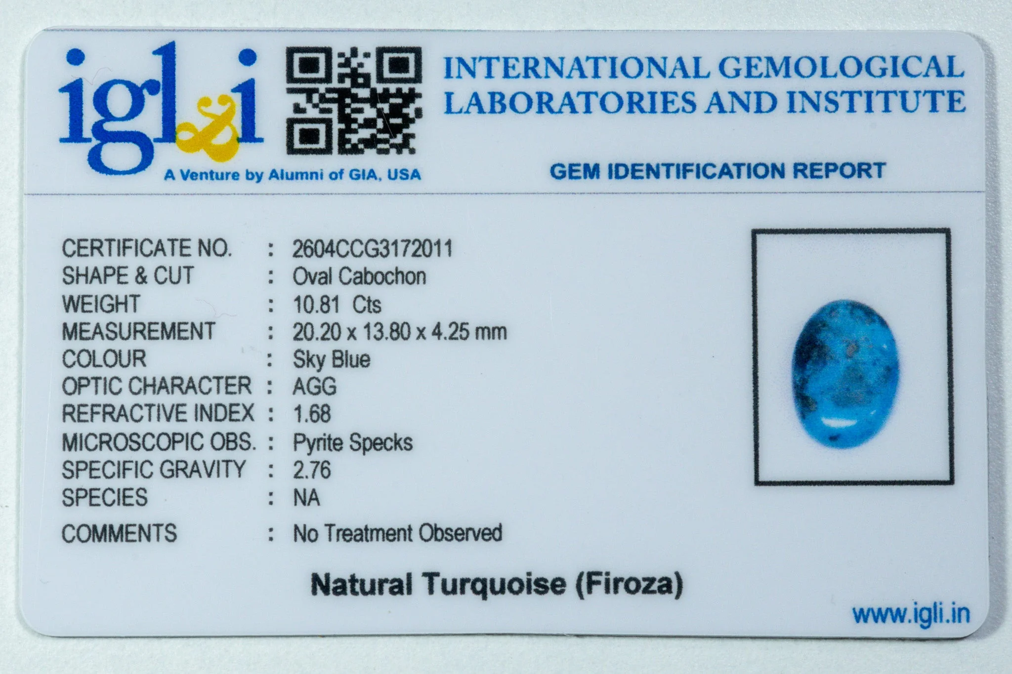 Irani Turquoise - 10.81 Carat - Image 3