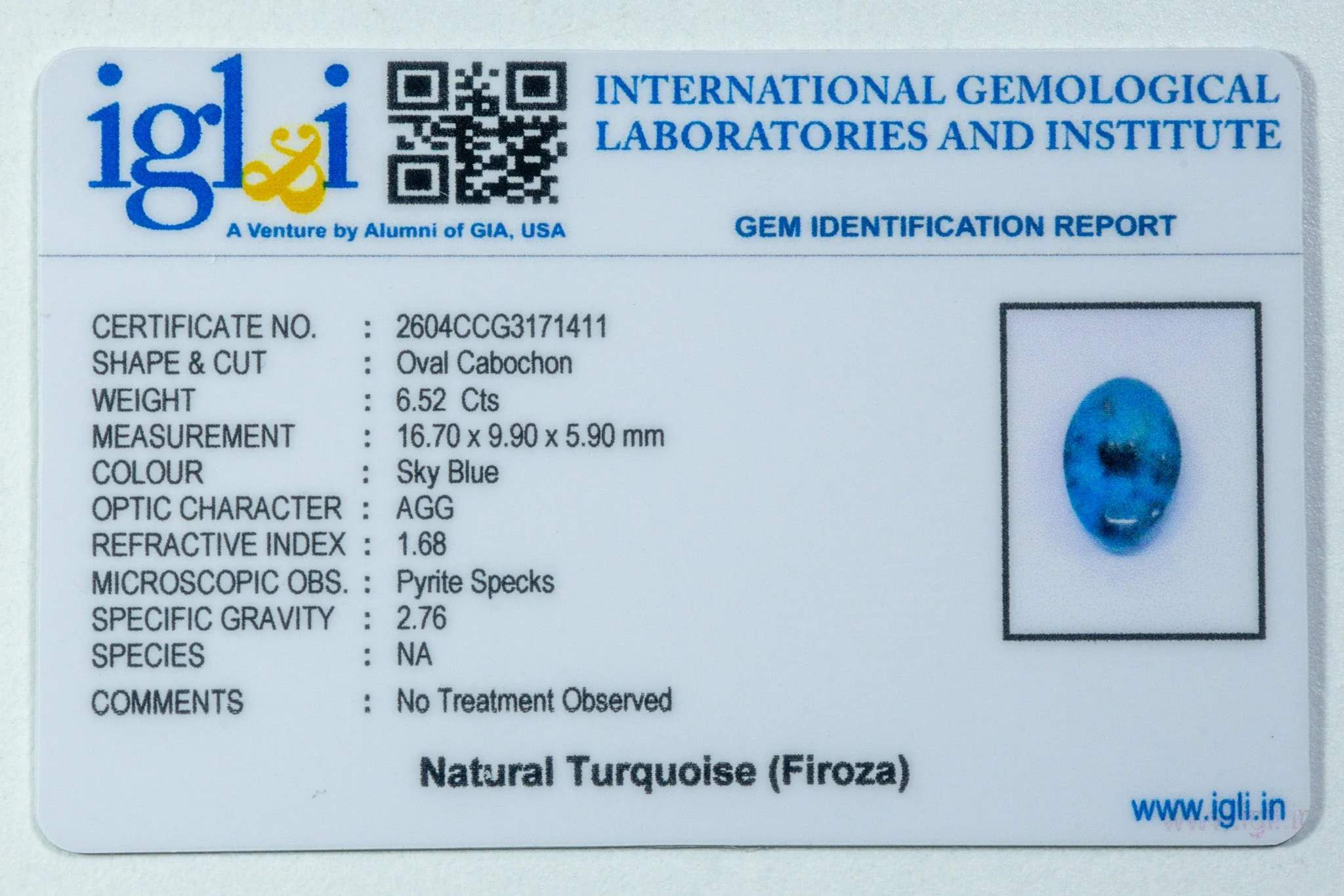 Irani Turquoise - 6.52 Carat - Image 3