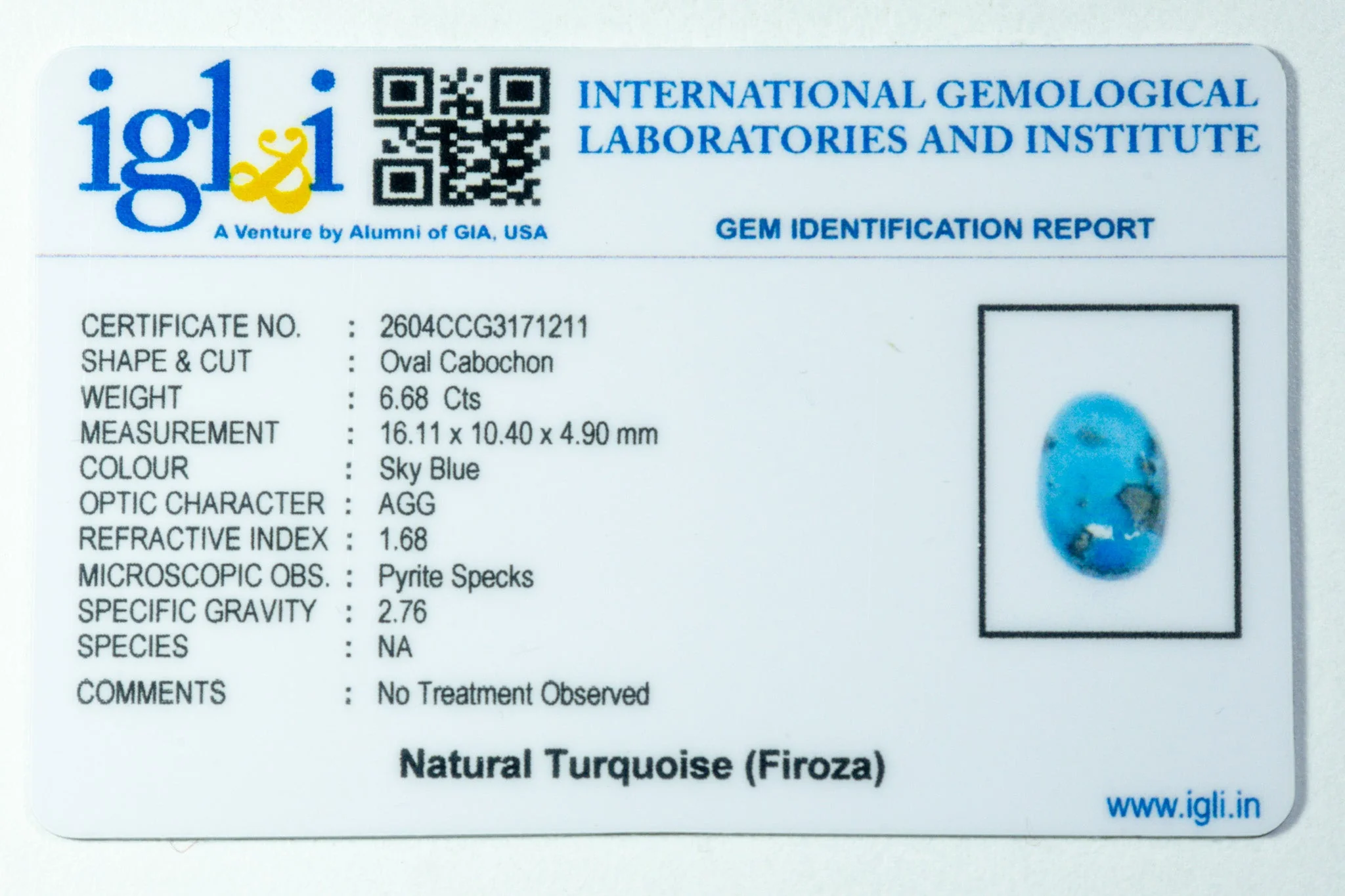 Irani Turquoise - 6.68 Carat - Image 3