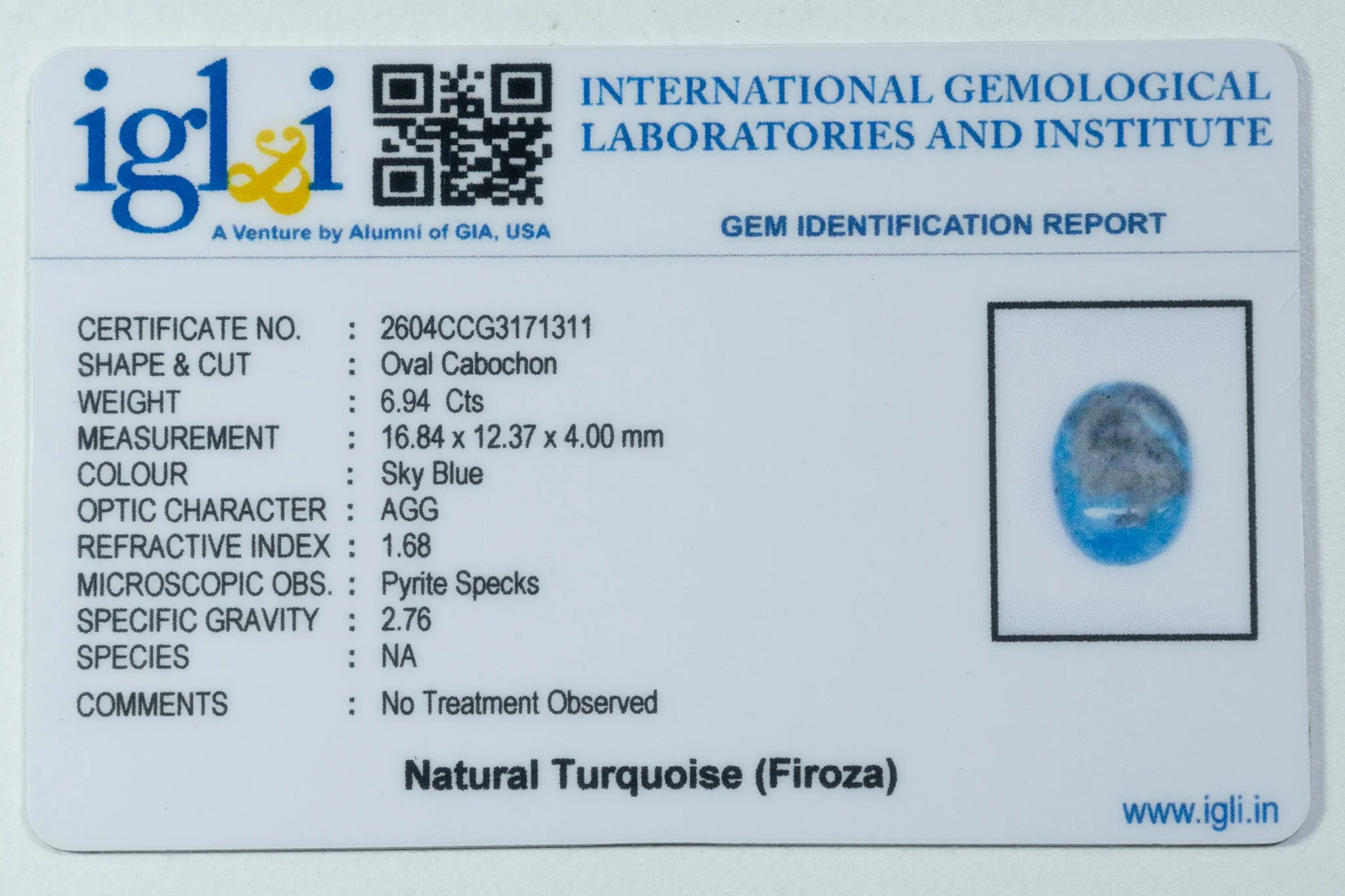 Irani Turquoise - 6.94 Carat - Image 3