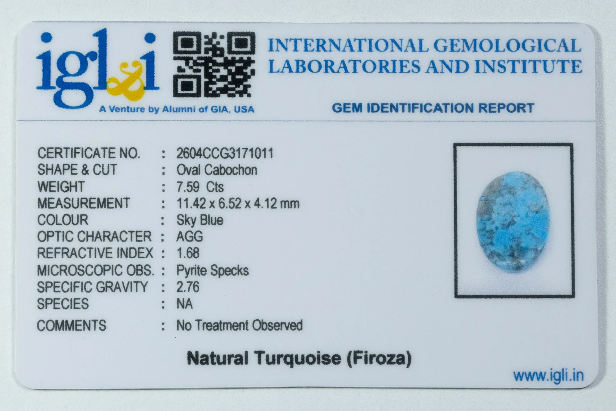 Irani Turquoise - 7.59 Carat - Image 3