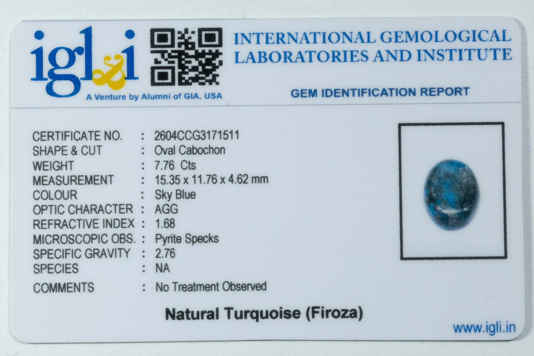 Irani Turquoise - 7.76 Carat - Image 3