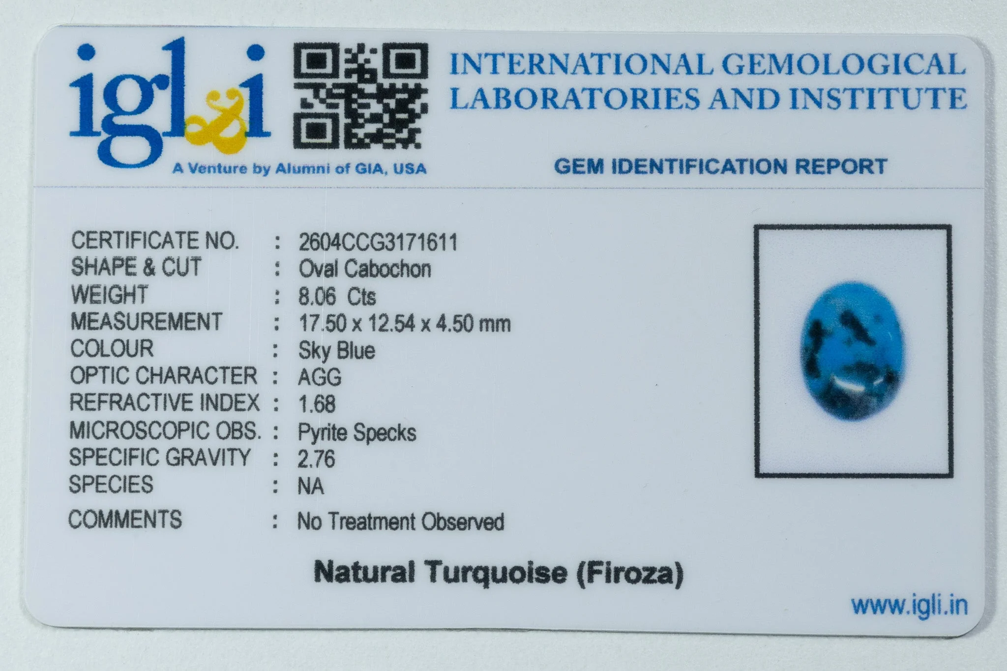 Irani Turquoise - 8.06 Carat - Image 3