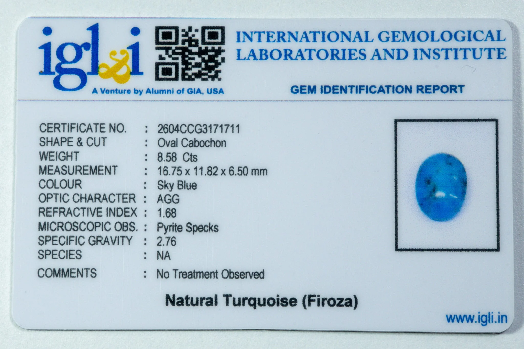 Irani Turquoise - 8.58 Carat - Image 3