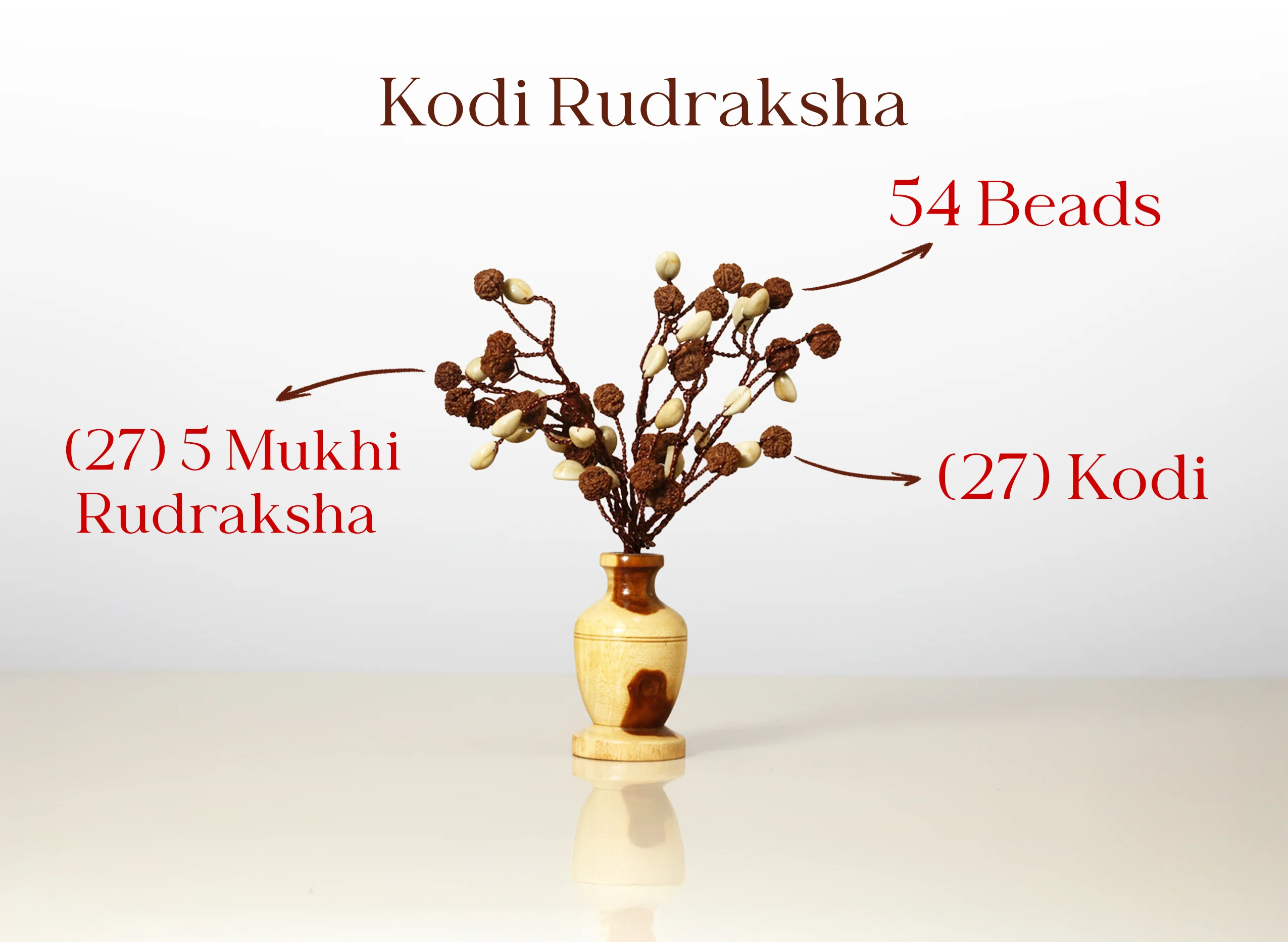 Kodi Rudraksha Tree (54 Beads) - Image 3