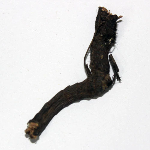 Nagarmotha Root - नागरमोथा जड़