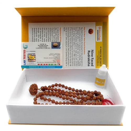 Nau Mukhi- Nine Faced Indo Ruadraksha - Lab Certified - Image 6
