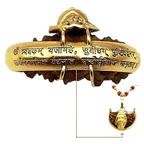 Ek Mukhi - One-Faced Shiva Rudraksha Pendant - Lab Certified (Without Mala) - Image 4
