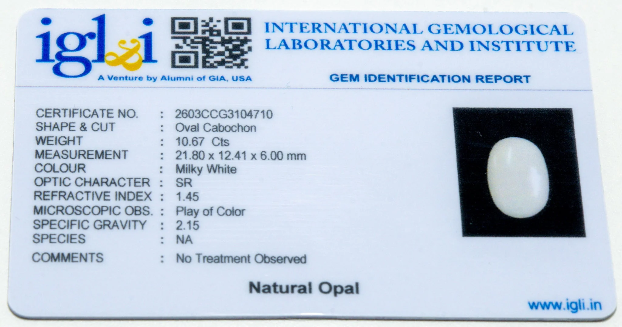 Opal - 10.67 Carat - Image 3