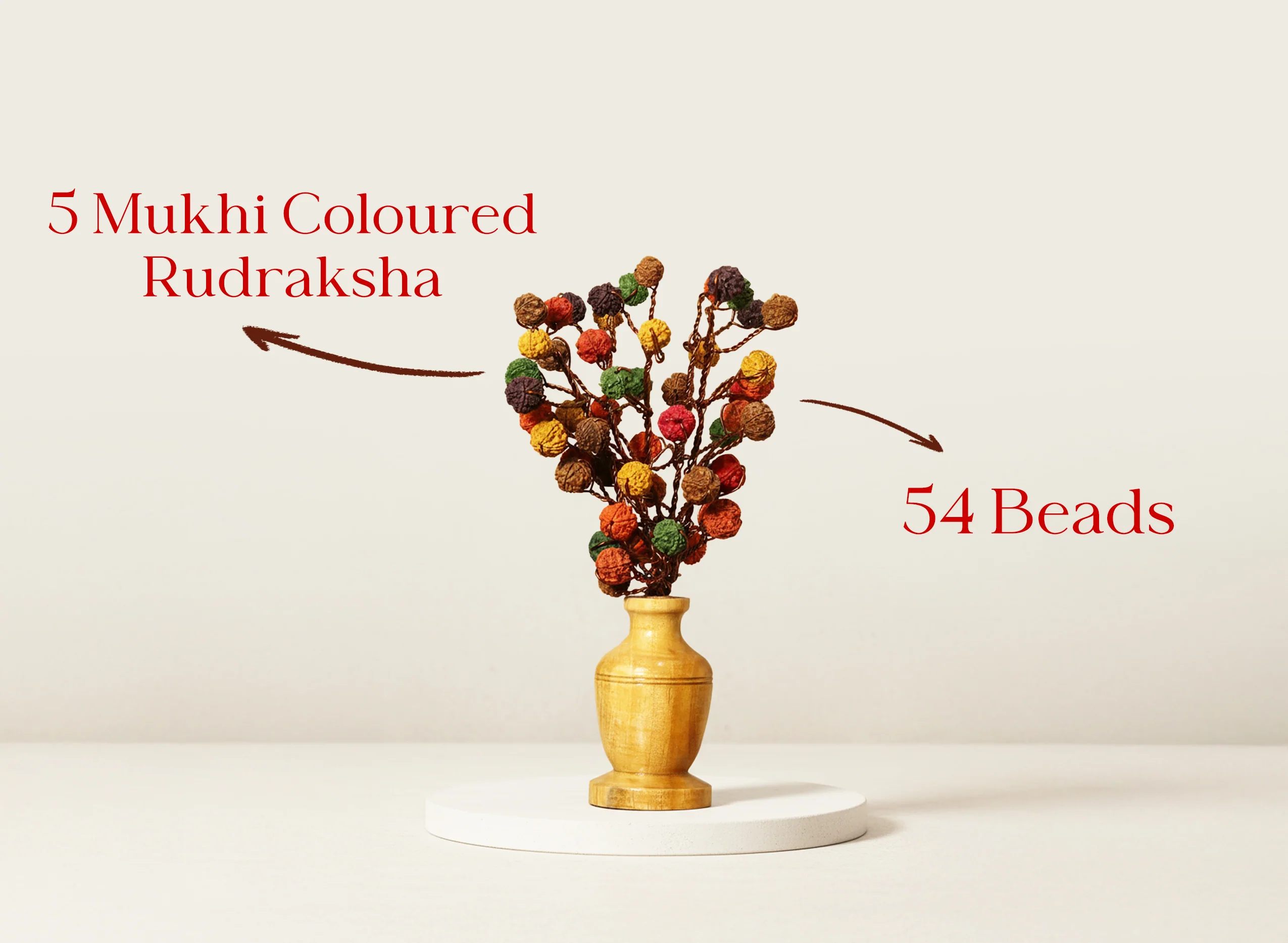 Rudraksha Tree - Image 2