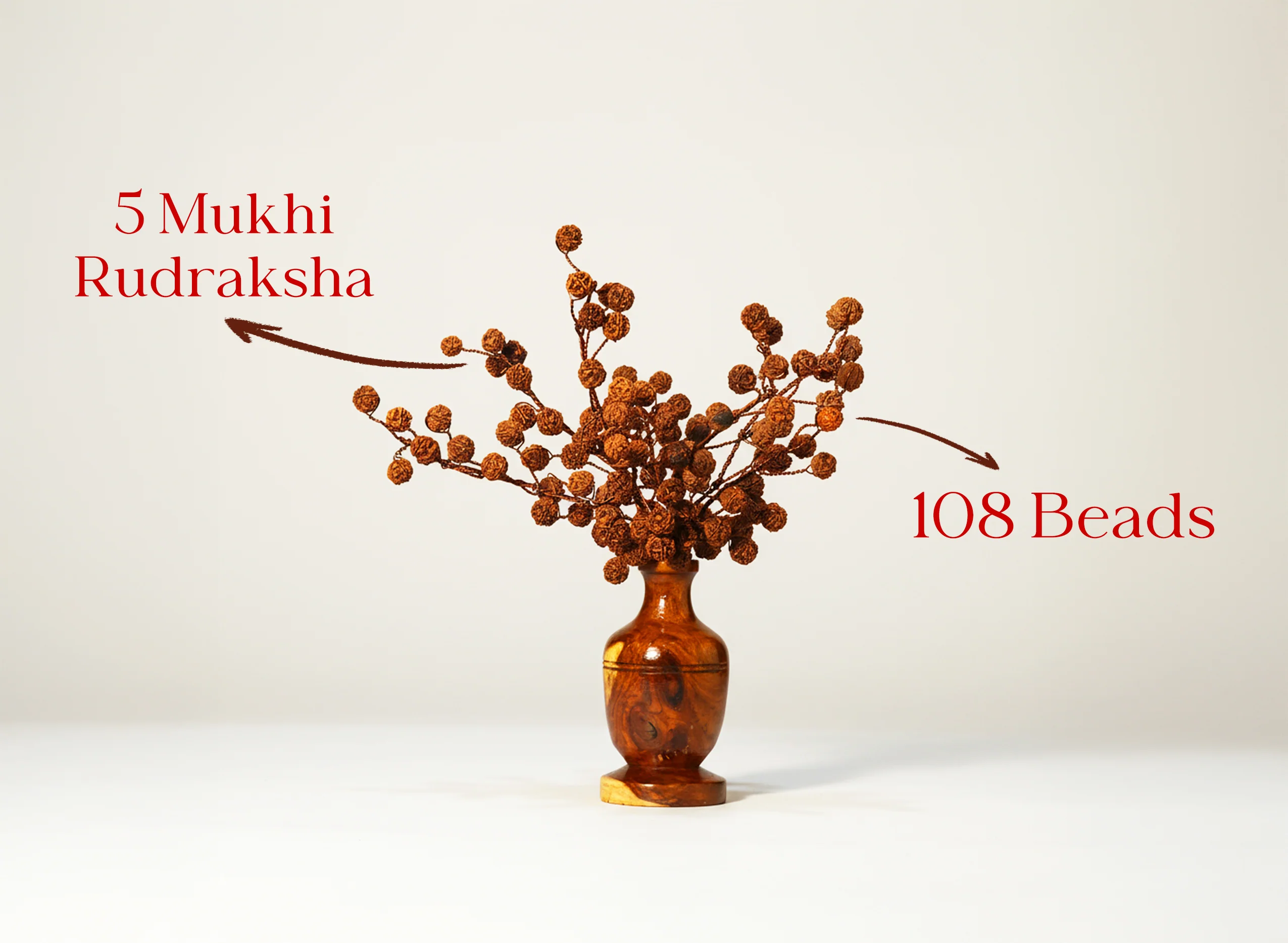 Rudraksha Tree - Image 3