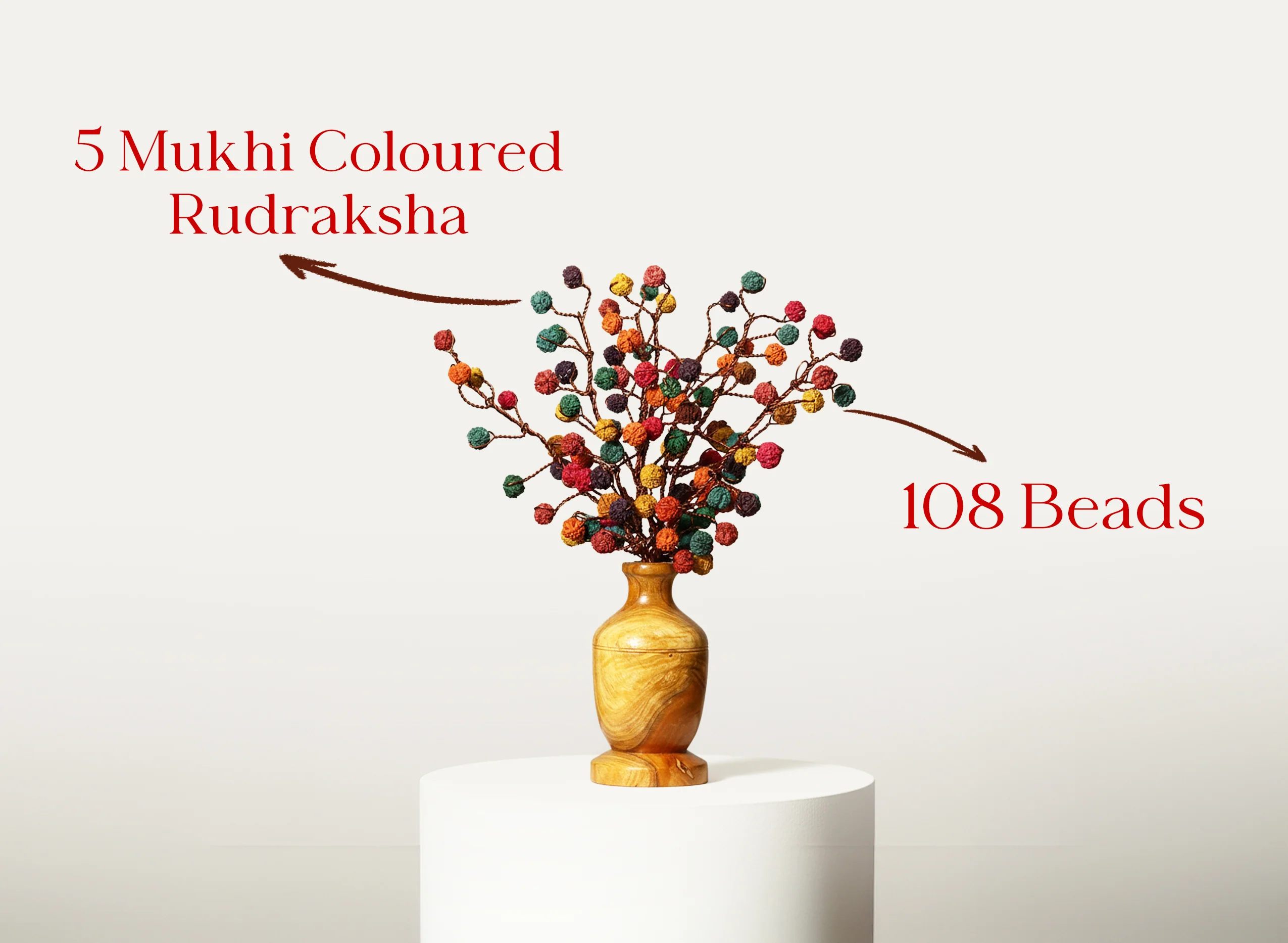 Rudraksha Tree - Image 4