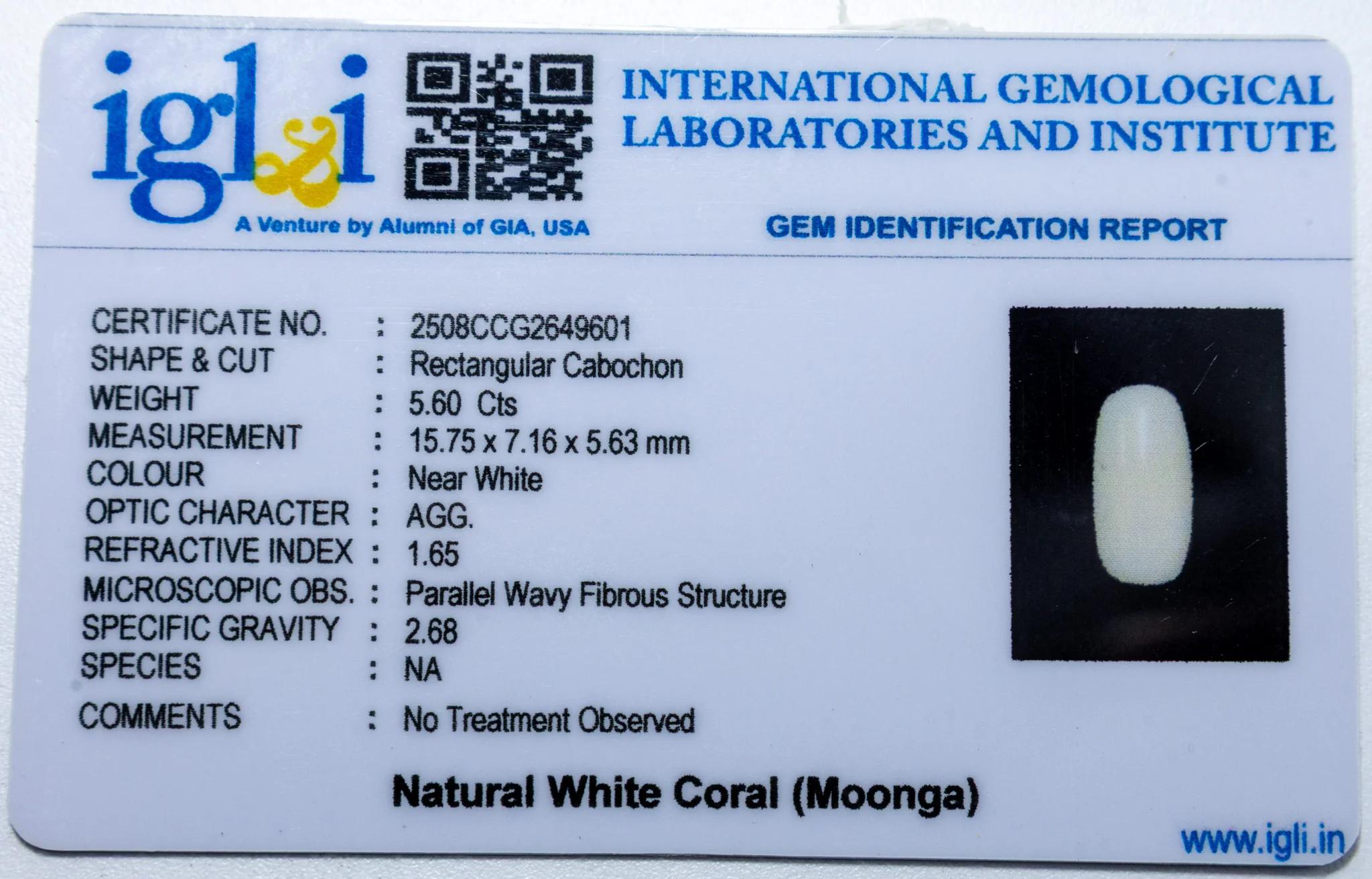 White Coral 5.60 Carat - Image 3