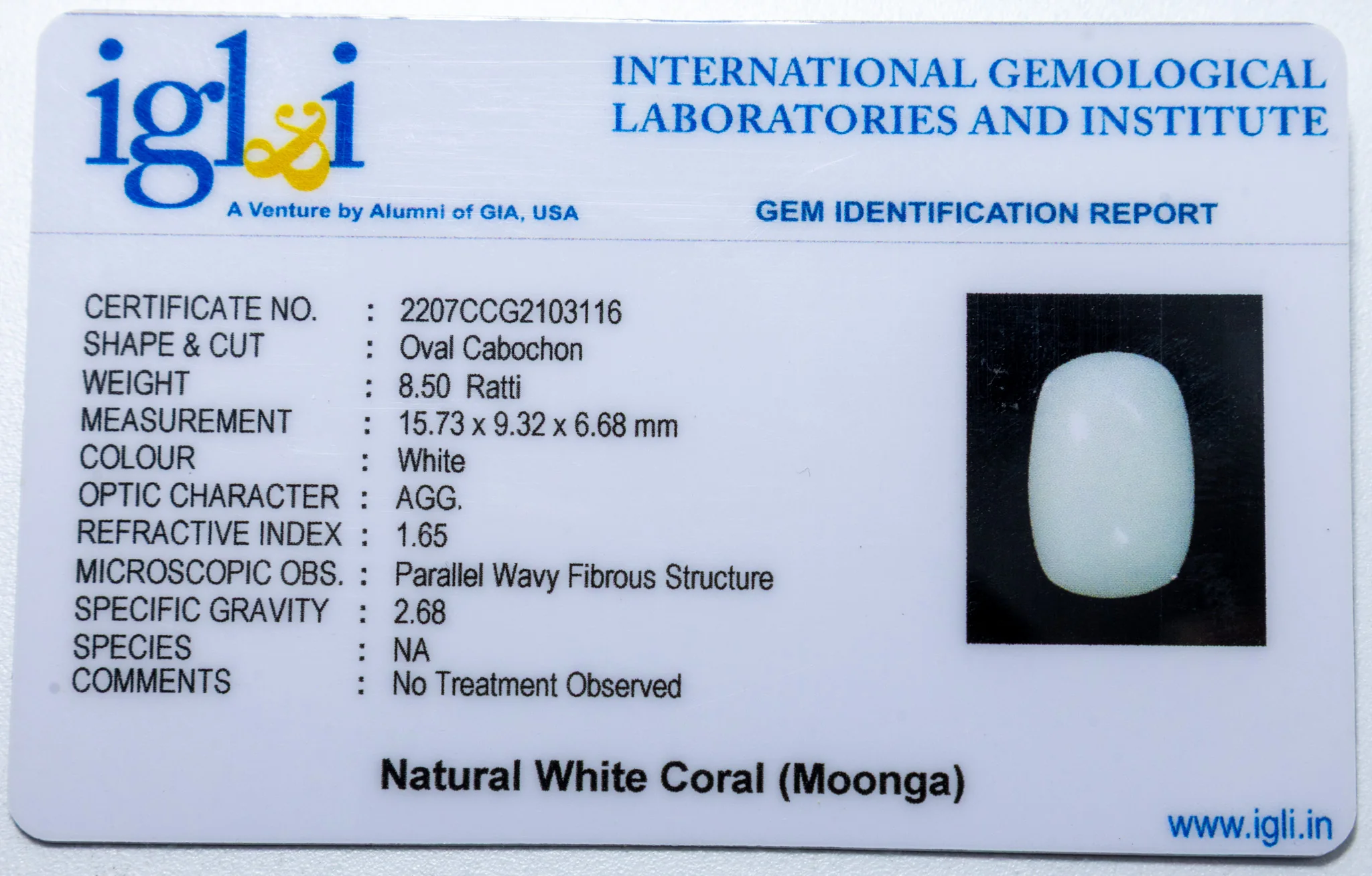 White Coral 8.50 Carat - Image 3
